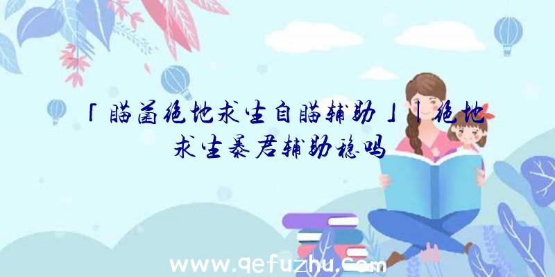 「瞄菌绝地求生自瞄辅助」|绝地求生暴君辅助稳吗